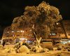 Jerusalem-snow-1.jpg